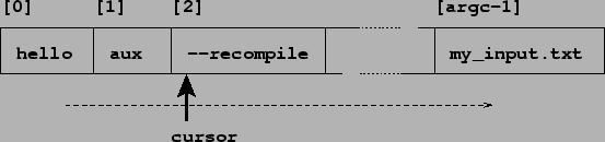 \includegraphics[width=\textwidth]{argv-array.eps}